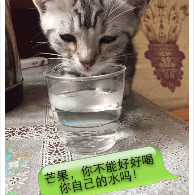 怎么买意大利虚拟币平台身份认证资料